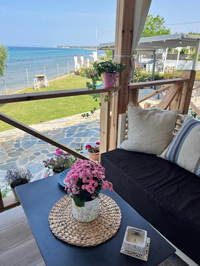 Villa Beachfront Athina Vergia